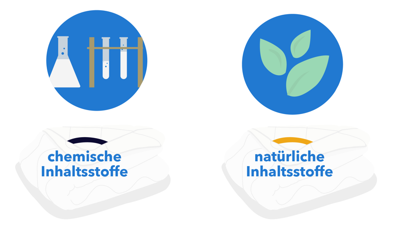 Die verschiedenen Inhaltsstoffe